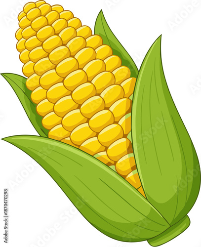 Detailed Cartoon Style Corn Cob with Husk and Kernel Illustration