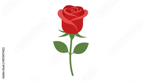  illustration shows a single red rose with green leaves on stem
