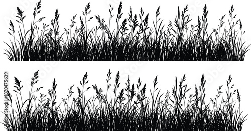 Tall grass silhouette rows, botanical field design, wild vegetation outline, natural plant texture, ecology concept, flat vector illustration, black graphic