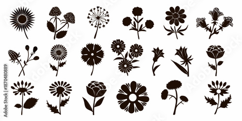A collection of diverse black silhouette floral designs and botanical illustrations