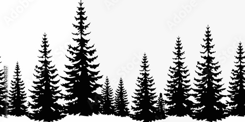 Silhouetted evergreen trees against a bright white background creating a forest scene