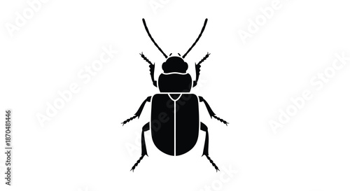 A striking black insect depiction simplified form antennae visible detailed legs and a clear silhouette