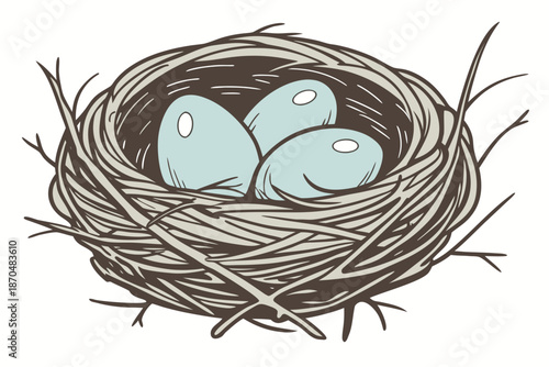 Nest with eggs