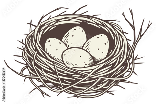 Eggs in nest