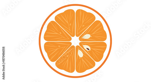 Vibrant flat vector illustration of an orange cross-section with seeds.