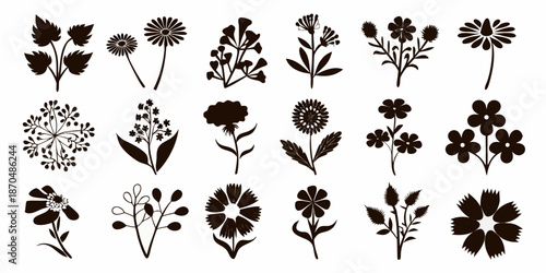 A collection of detailed botanical illustrations featuring various wildflower silhouettes