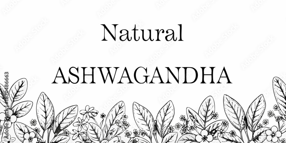Obraz premium Natural ashwagandha illustration with botanical leaves and berries design