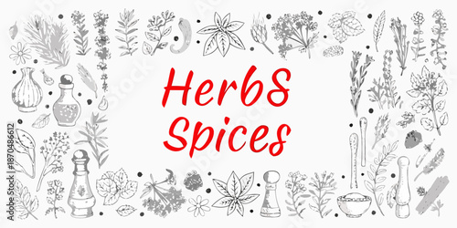 A botanical illustration featuring various herbs spices and vintage apothecary bottles
