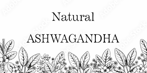 Natural ashwagandha illustration with botanical leaves and berries design