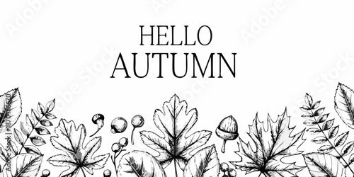 Hello autumn a black and white floral illustration with leaves and acorns