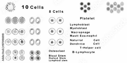Illustrative depiction of various blood cells and their quantities in a sample