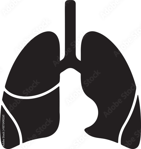 Human lung anatomy illustration