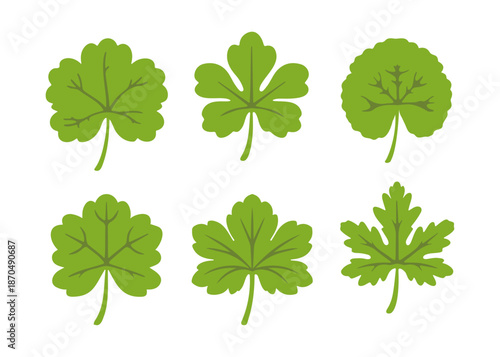 ゼラニウムの葉をモチーフにしたボタニカルリーフのイラストセット