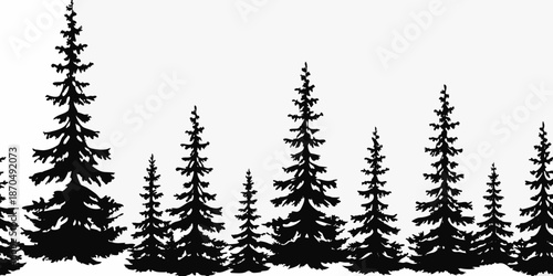 Silhouetted evergreen trees against a white background a simple forest scene