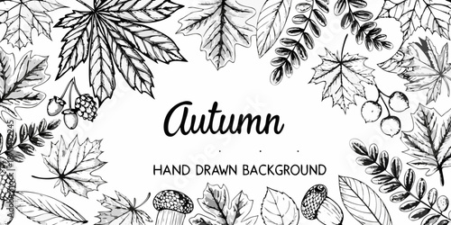 Detailed botanical illustration featuring autumn leaves acorns and mushroom sketches