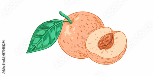 A colorful illustration of a peach with a slice showcasing its inner details