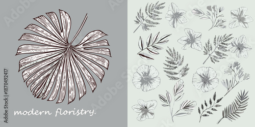 Botanical illustrations of tropical leaves and delicate floral sketches in gray