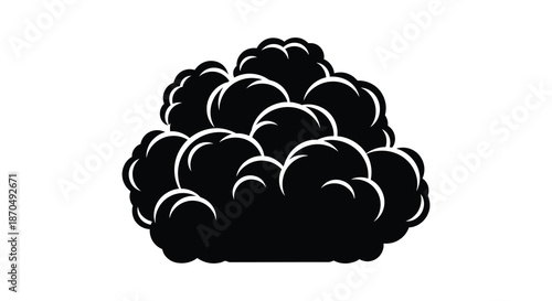 A striking black and white image of a fluffy cloud formation beautifully depicted as a silhouette