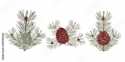 Watercolor illustration of pine branches with red pine cones festive holiday design