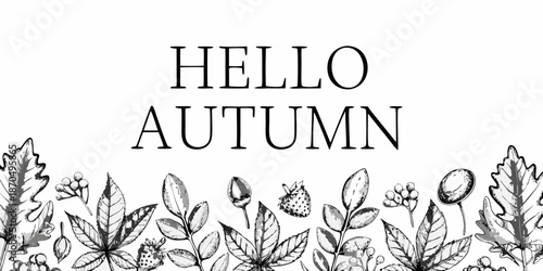 Hello autumn a beautiful sketch with floral and botanical elements