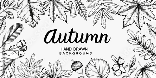 Detailed botanical illustration of autumn leaves and decorative hand lettered text