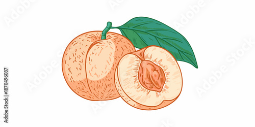 A vibrant illustration of a whole apricot and a sliced half with a leaf