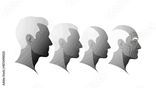 Illustration showing the aging process of a human male's face over time, from youth to old age.
