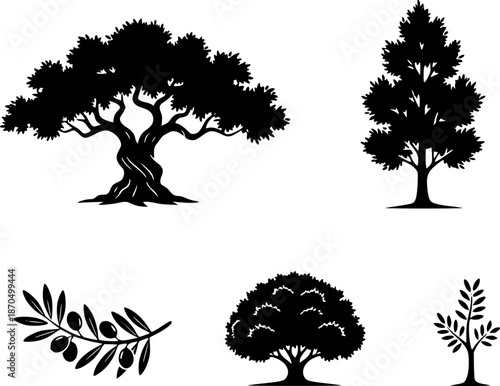 Set of black silhouettes of different tree species and an olive branch. Collection of nature icons including an ancient oak or olive tree, a pine tree, a leafy bush, and a small sapling isolated on wh