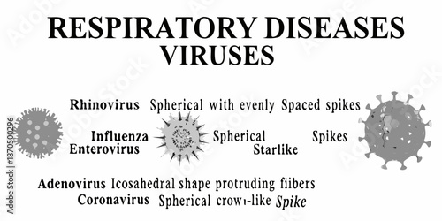 Visual representation of respiratory viruses and their structural characteristics