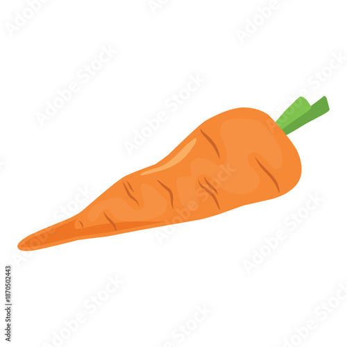 Fresh Orange Carrot Illustration Isolated on White Background