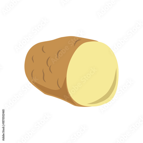 Sliced Raw Potato Illustration Isolated on White Background