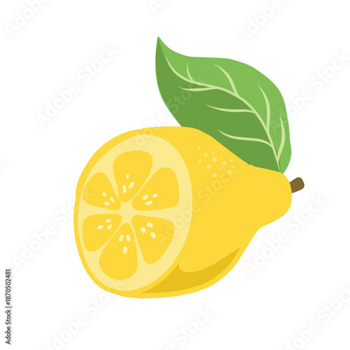 Sliced Fresh Lemon with Green Leaf Illustration