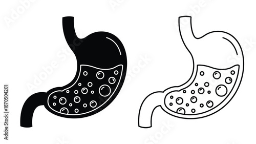 Illustration of a human stomach showcasing a filled and empty state