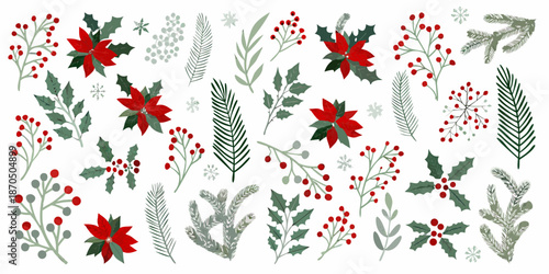 Festive botanical illustration featuring poinsettias holly and various winter foliage