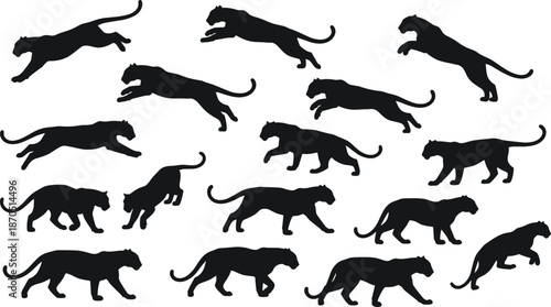 Black panther silhouettes collection, powerful big cats running, walking and jumping poses, sleek wildlife vector illustration set for nature, logo, branding design