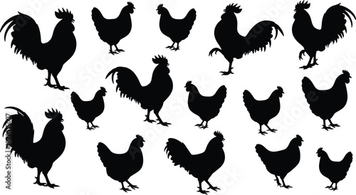 Chicken and rooster silhouettes collection showing various farm poultry poses, black vector illustration set isolated on white background for agriculture and farming design