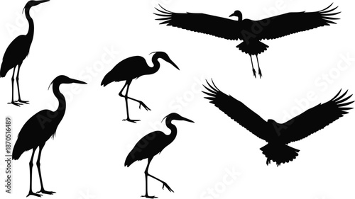 Heron and crane bird silhouettes set, elegant flying and standing poses, black wildlife vector illustration collection for nature, logo, branding design