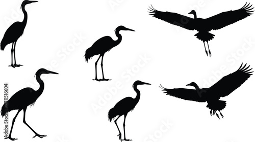 Heron and crane bird silhouettes set, flying and standing poses, black wildlife vector illustration collection for logo, branding, decoration, nature design