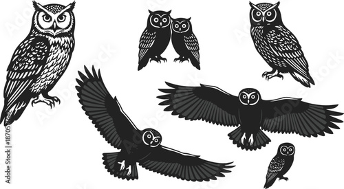 Owl bird illustration set, detailed nocturnal wildlife owls flying and perched, black and white vector illustration collection for nature, logo, branding design