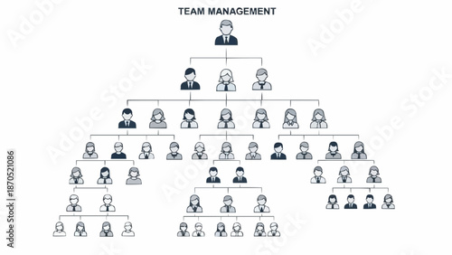 Organizational Chart Showing Team Management Structure.