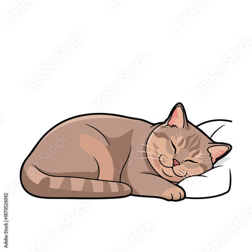 A cartoon cat sleeps peacefully on a white background