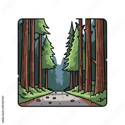 A serene forest road with tall trees on both sides