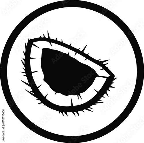 Illustration of a half coconut with spiky shell inside a circle silhouette vector