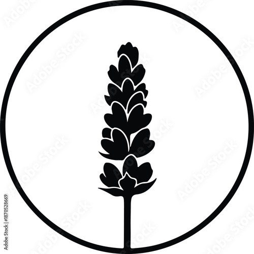 Illustration of a single lavender flower in a circular outline silhouette vector
