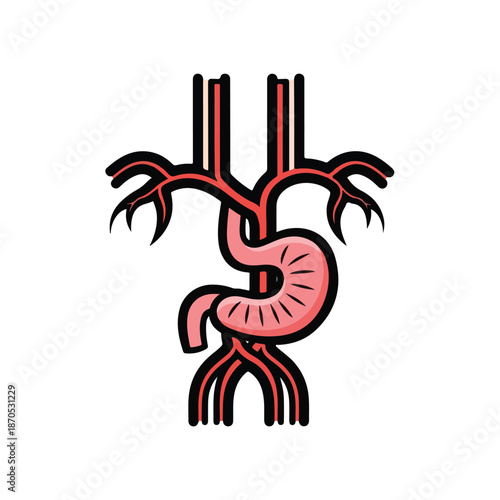 A stylized illustration of the human digestive and circulatory system