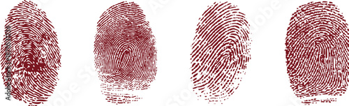 finger print isolated on white  