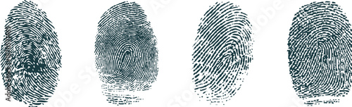 Set of Realistic Human Fingerprint Patterns for Forensic, Biometric, and Identity Verification Design