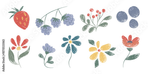 Crayon doodle flowers and berries set isolated on white. Vector illustration of cute hand drawn pastel plants, bright color botanical design, garden, field or forest elements, greeting card decoration