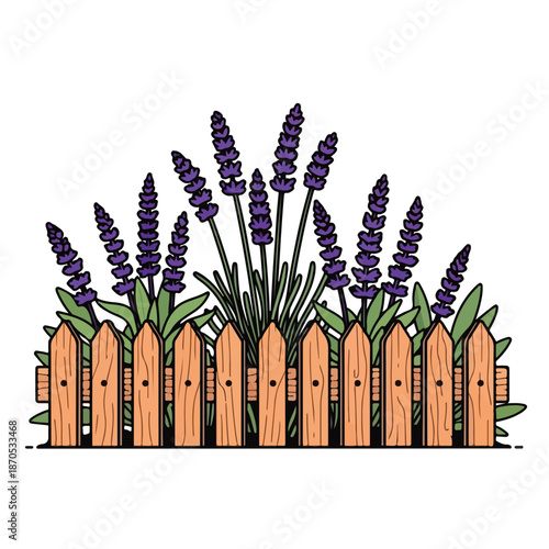 A wooden picket fence with purple flowers