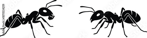 Two Ant silhouettes isolated on white background, depicting various activities and poses. 